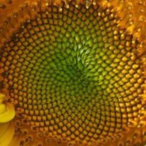 donnabelle2417 avatar