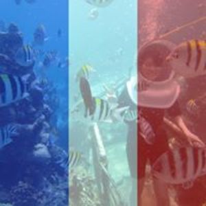 hanna_kartika avatar