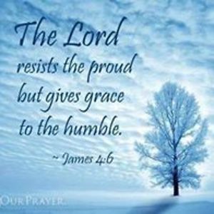 bonitalvetter avatar