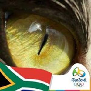 elaine_kidgell avatar