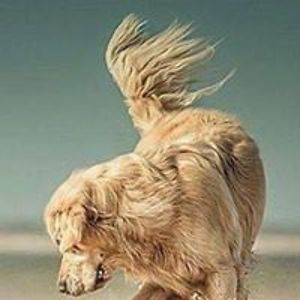 michele_jankelow_mj avatar