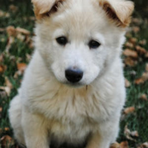 eileennorwood avatar