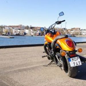 leif_putdevice avatar