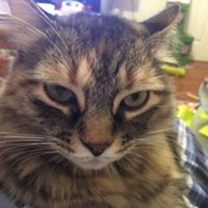 leilayates2002 avatar