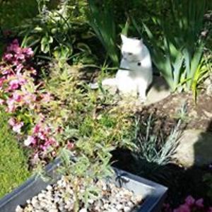 a_bhutchinson avatar