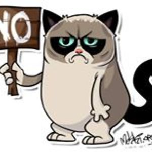 noemi_von_neues_holz avatar