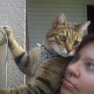 thina_hederstedt_officiella avatar