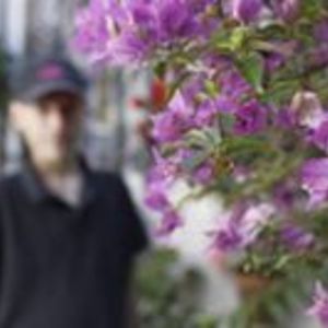 verdaderofrenteamplio avatar