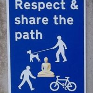 carol_robertson avatar