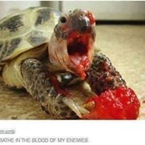 jpoolmaverick avatar