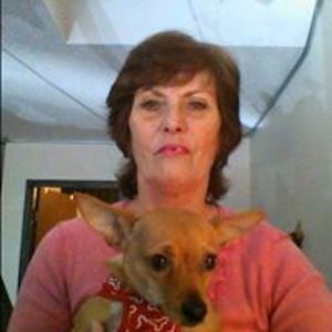 dianna_barata avatar