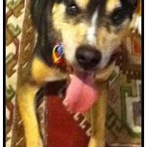 johanna_davis22 avatar