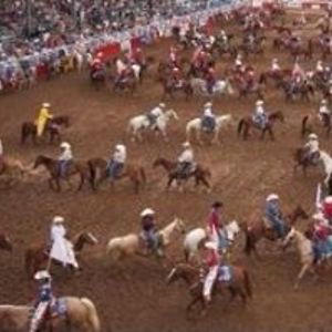 barrelracer_gracie avatar