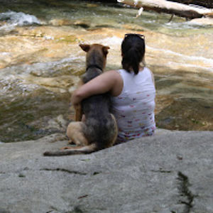 jacquelinechen avatar