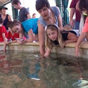 susan_wagstaff avatar