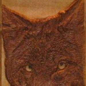 carvedintheheart avatar