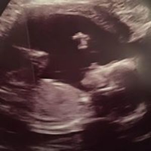 amanda_robinson avatar