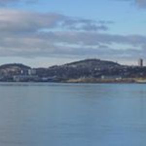 mark_muirhead avatar