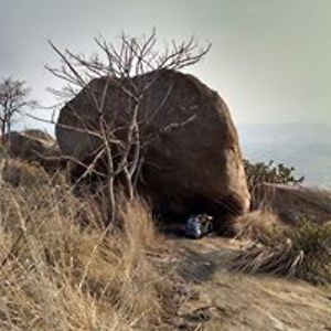 muzikholocaust avatar