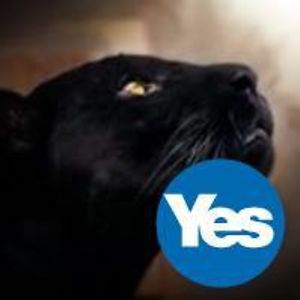 celticpanther avatar