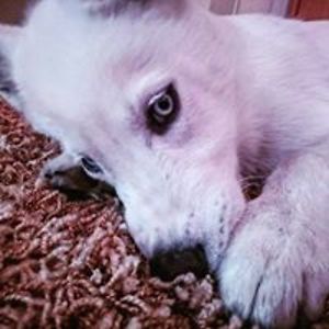 jennifer2015_hj avatar