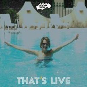 canginistefania avatar