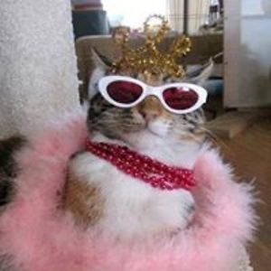 jennifer_prince avatar