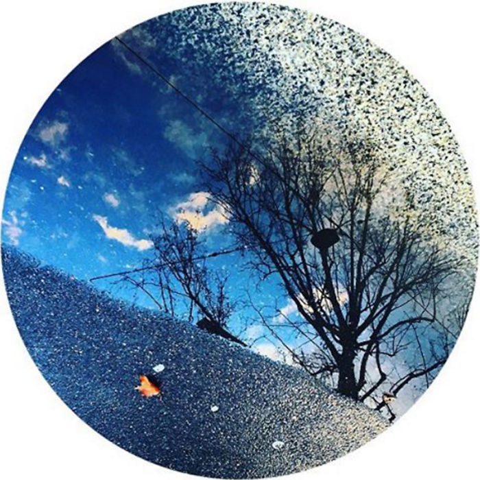 I Use Reflections To Create Art