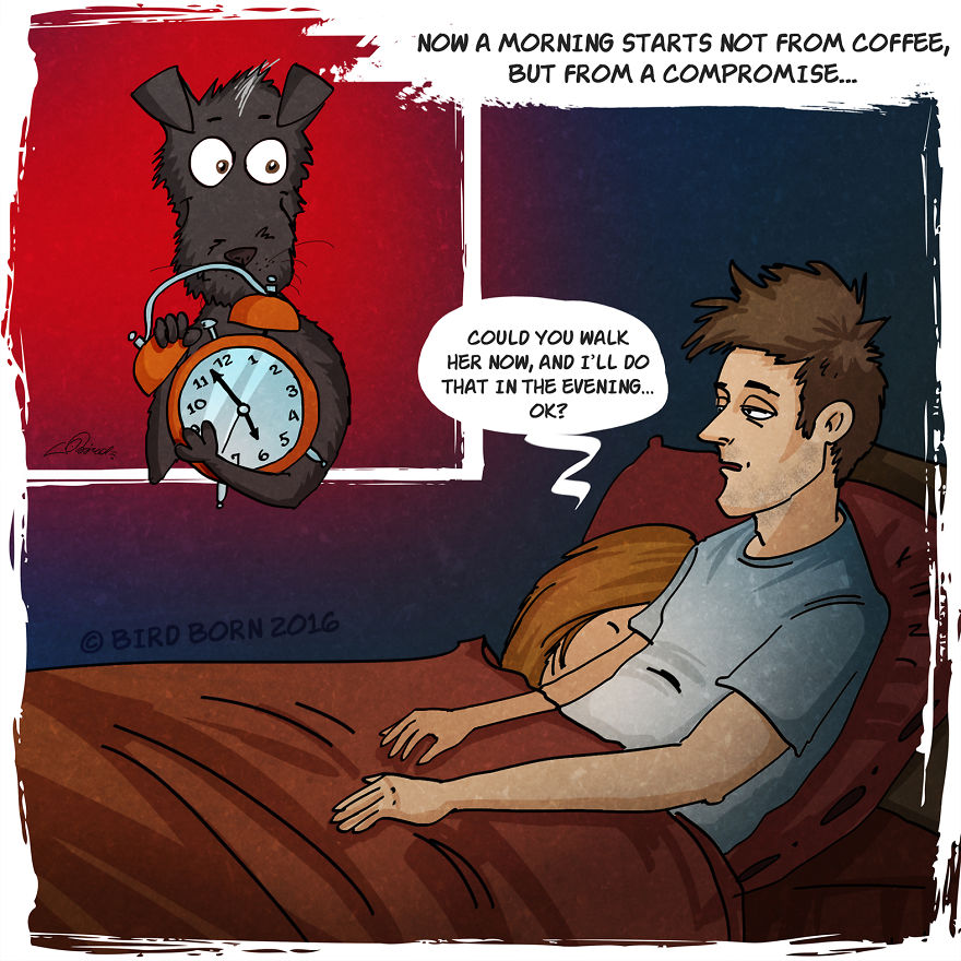 We’ve Taken A Dog From An Animal Shelter (Personal Experience) We’ve Taken A Dog From An Animal Shelter (Personal Experience)