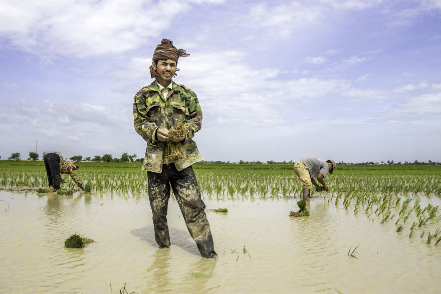 Agriculture Is The Ancient Culture Of Cambodia