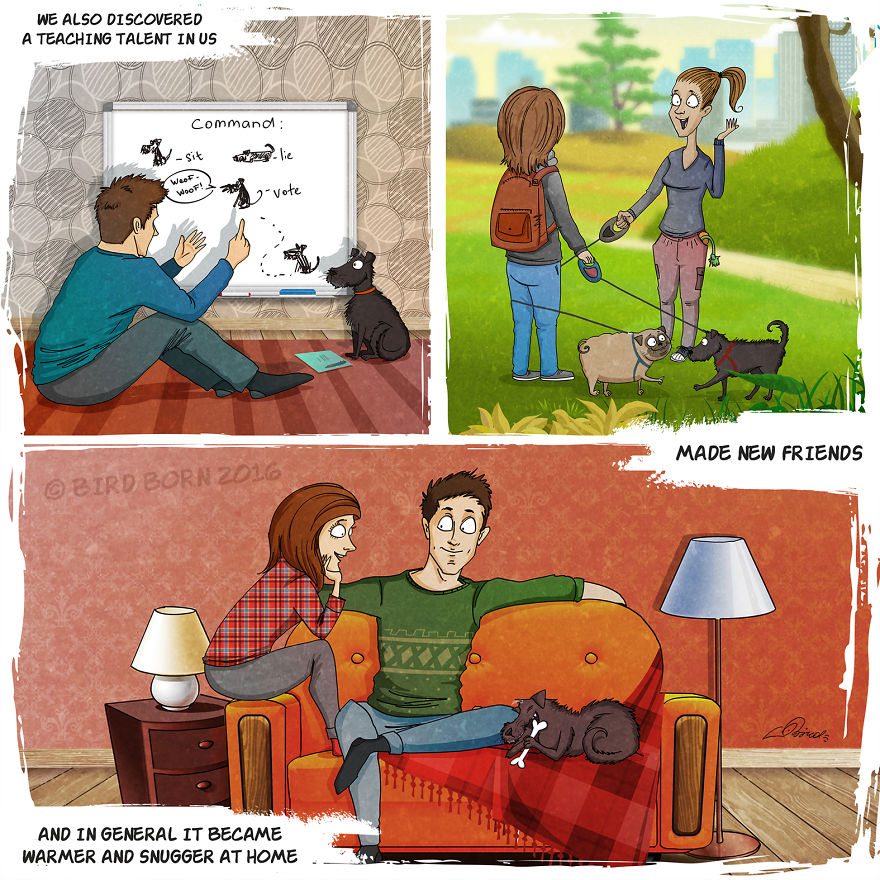 We&rsquo;ve Taken A Dog From An Animal Shelter (Personal Experience)