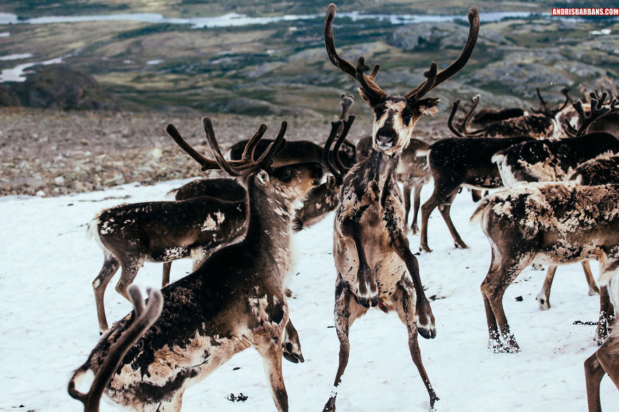 I Explored Norway And Challenged My Creativity In A Two Week Adventure I Explored Norway And Challenged My Creativity In A Two Week Adventure