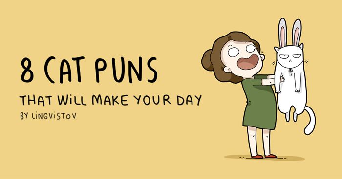 8 Cat Puns That Will Make Your Day