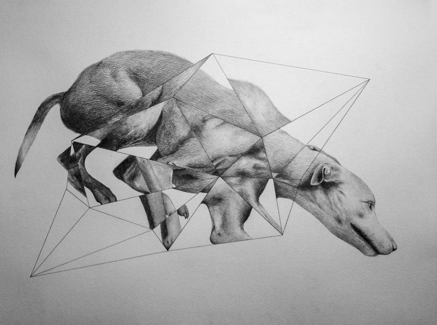 I Drew Some Distorted Animal Portraits