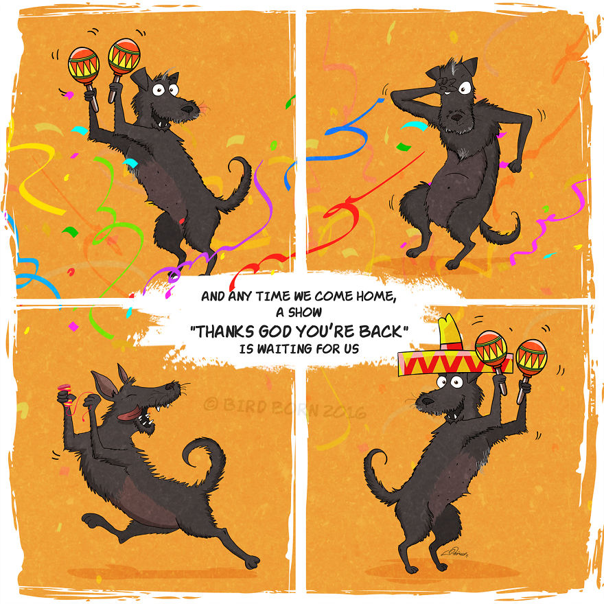 We&rsquo;ve Taken A Dog From An Animal Shelter (Personal Experience)