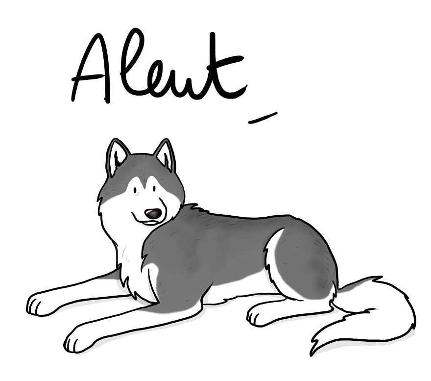 I Drew My Seven Dog Family I Drew My Seven Dog Family