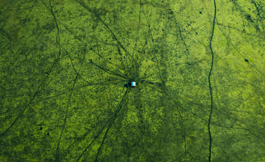 I'm A Bangladeshi Aviator And I Want To Show My Motherland From The Top