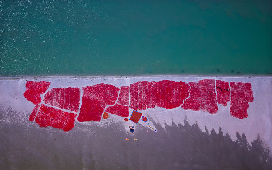 I'm A Bangladeshi Aviator And I Want To Show My Motherland From The Top