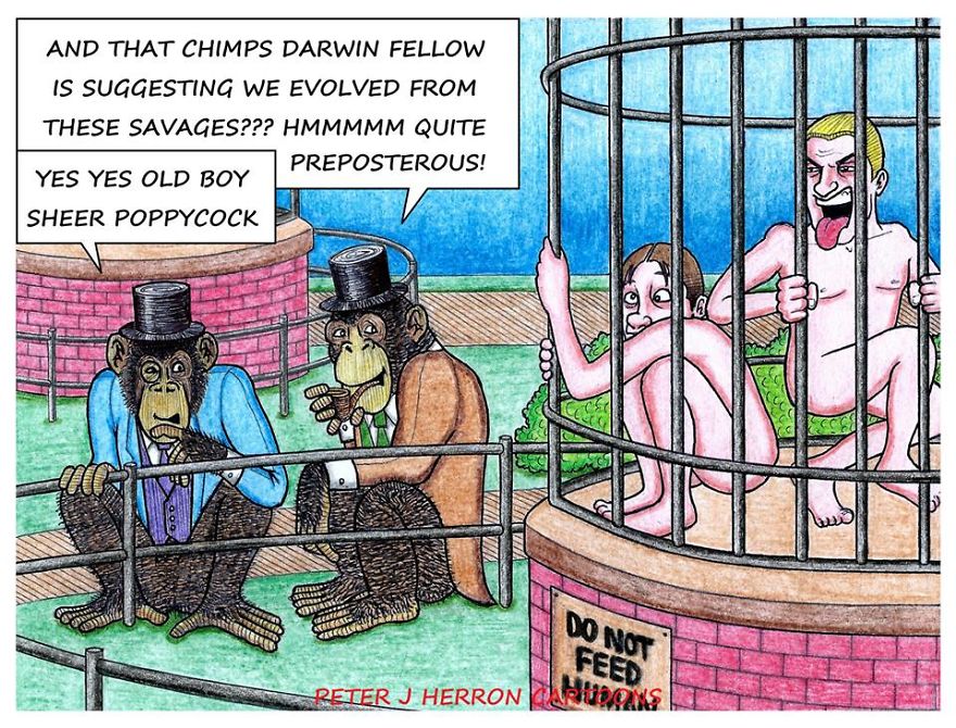 15 Hilarious Animal Cartoons That Will Make You See Them In A Totally New Light