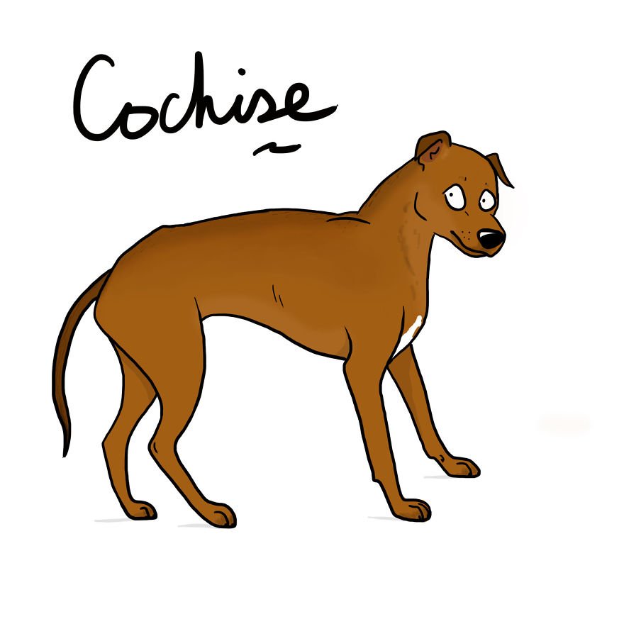 I Drew My Seven Dog Family I Drew My Seven Dog Family