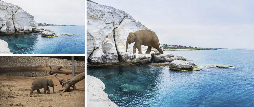 I Created Series Of Merged Photos To Show Israel I Created Series Of Merged Photos To Show Israel