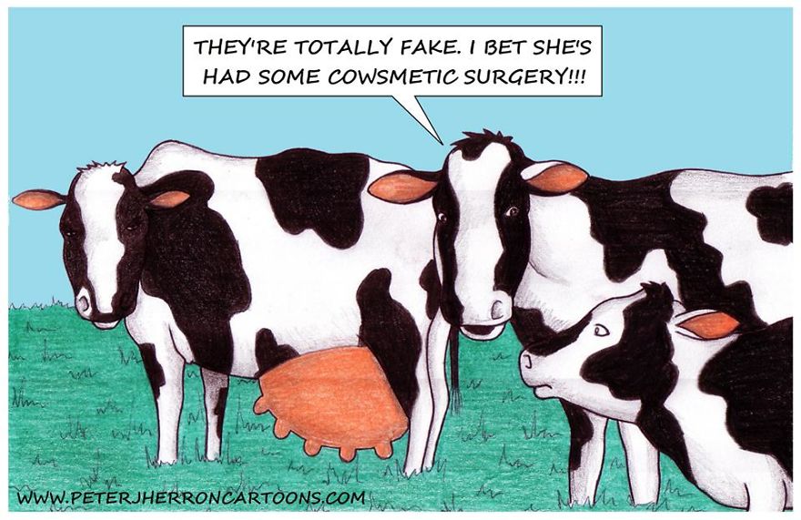 15 Hilarious Animal Cartoons That Will Make You See Them In A Totally New Light