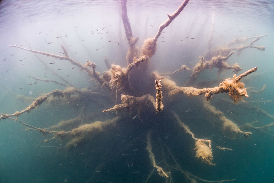 How We Went Diving In Underwater Prison In Rummu, Estonia How We Went Diving In Underwater Prison In Rummu, Estonia