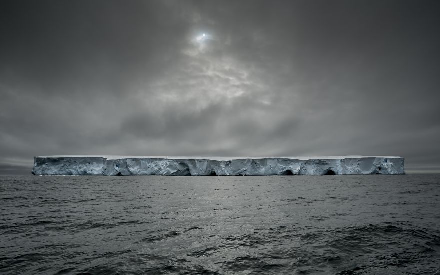 How Antarctic Penguins Adapt To Climate Change: Unhappy Feet How Antarctic Penguins Adapt To Climate Change: Unhappy Feet