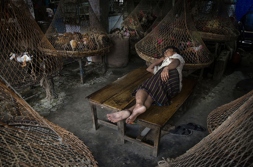 Sleeping Beauty Sleeping Beauty