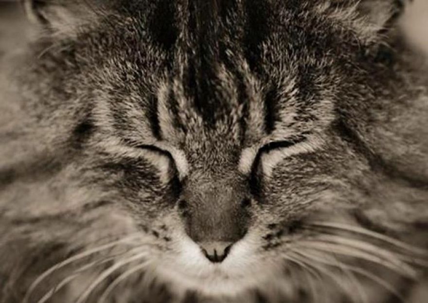 Νeri (potamianos) 10yearsold, Athens Greece