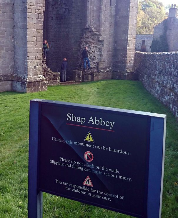 Climbing And Not Supervising The Children