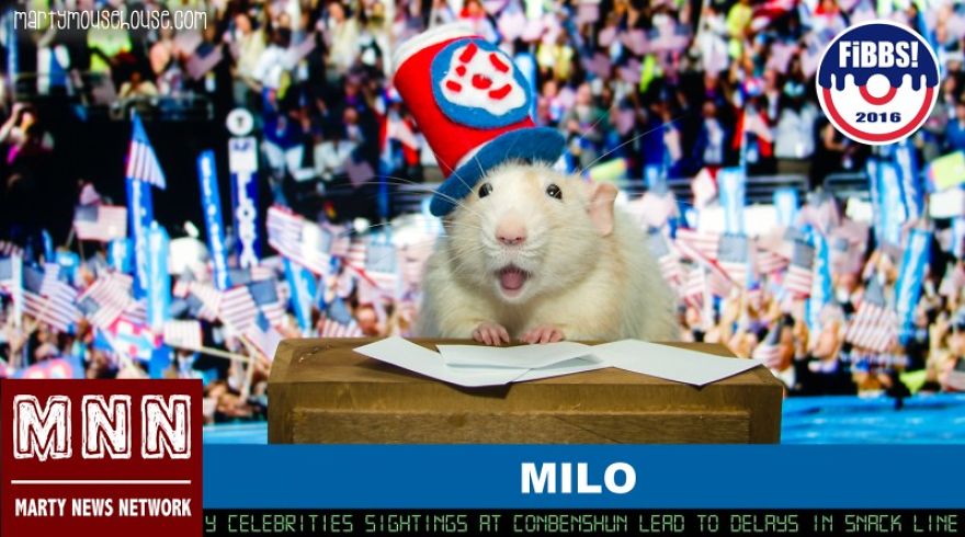 Vote Fibbs - The Best Candidate For President In This Crazy Election Vote Fibbs - The Best Candidate For President In This Crazy Election