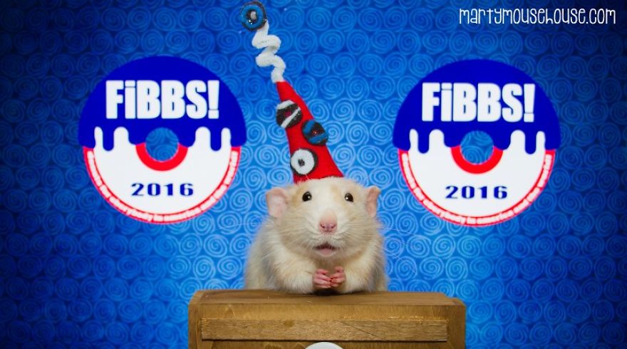 Vote Fibbs - The Best Candidate For President In This Crazy Election Vote Fibbs - The Best Candidate For President In This Crazy Election