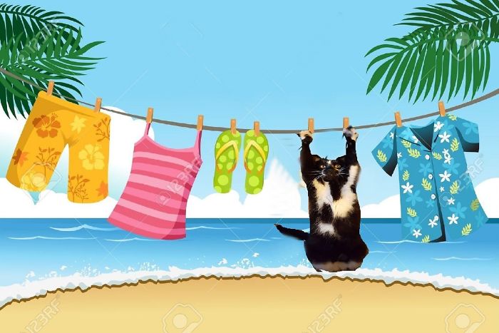 Hanging Out At The Beach... :)